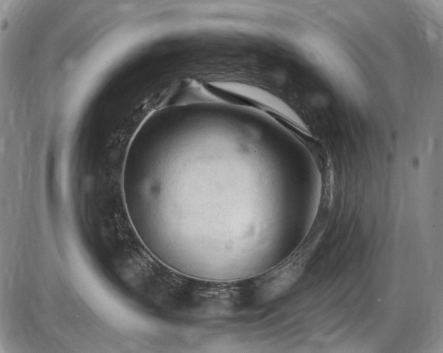 X0000086060383200703301047