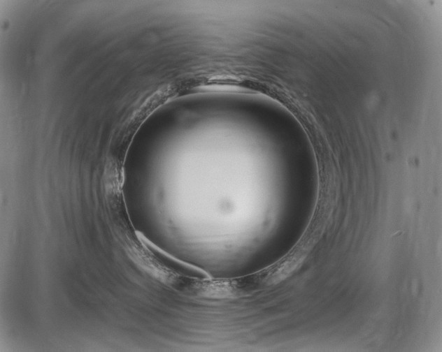 X0000086060384200703301047