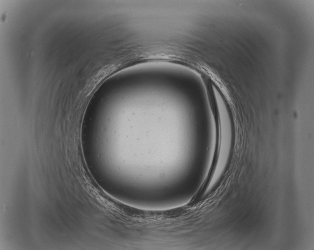 X0000086060385200703301046