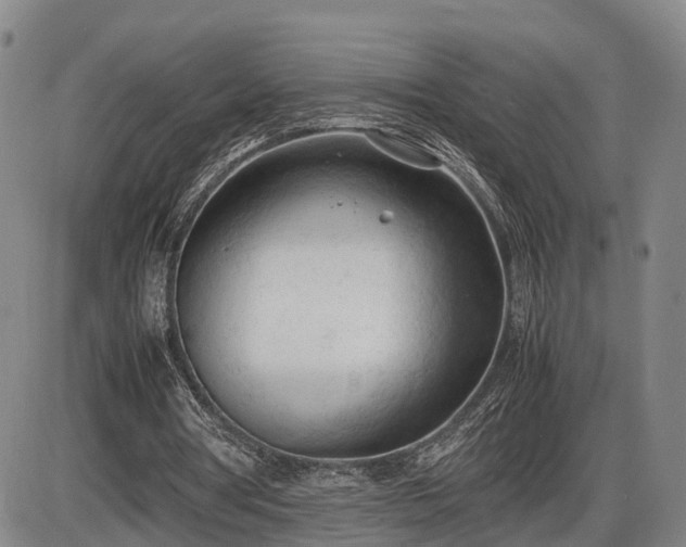 X0000086060386200703301046