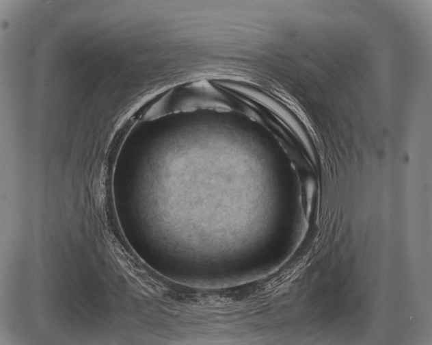 X0000086060387200703301046