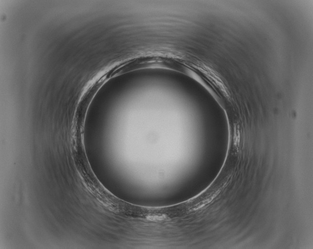 X0000086060388200703301046