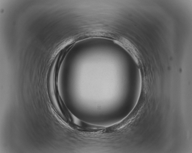 X0000086060389200703301046