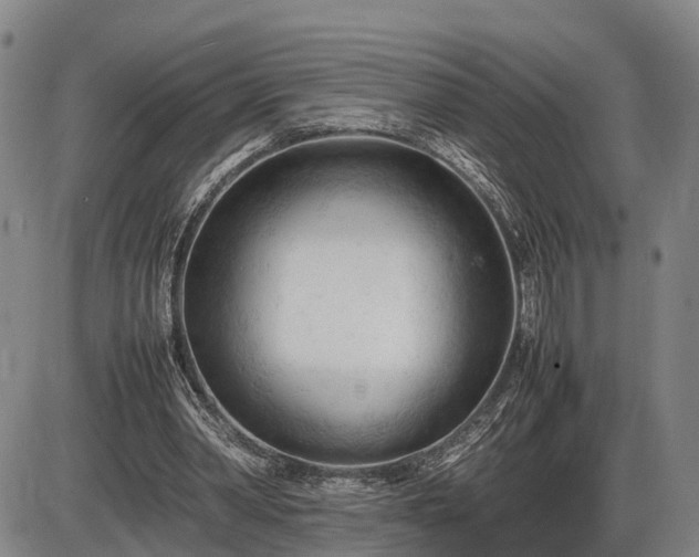 X0000086060390200703301046