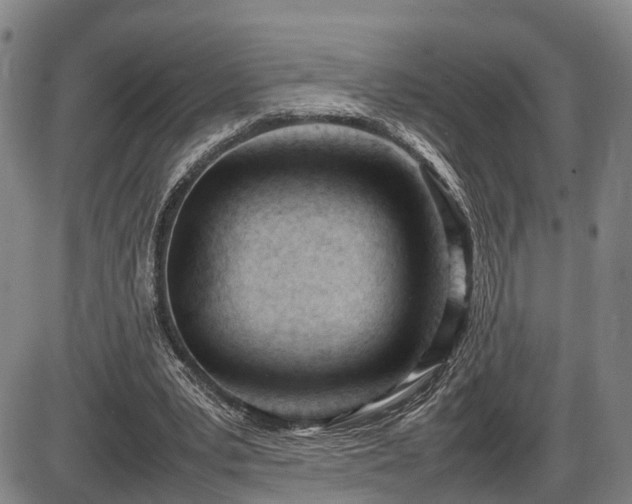 X0000086060391200703301046