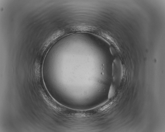 X0000086060394200703301046