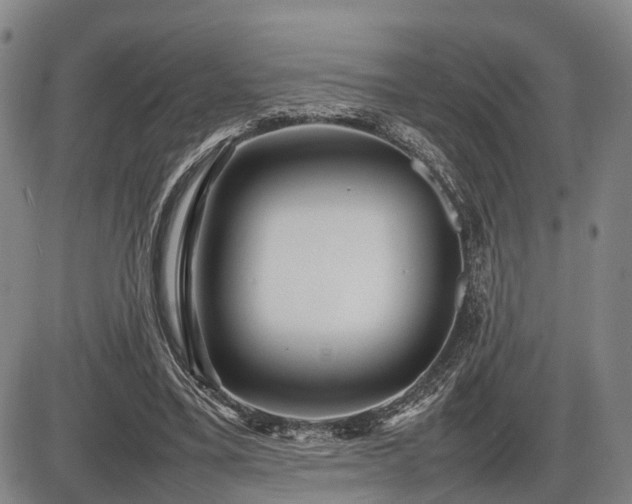 X0000086060395200703301046