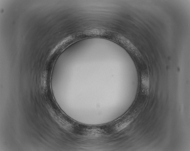 X0000086060396200703301046