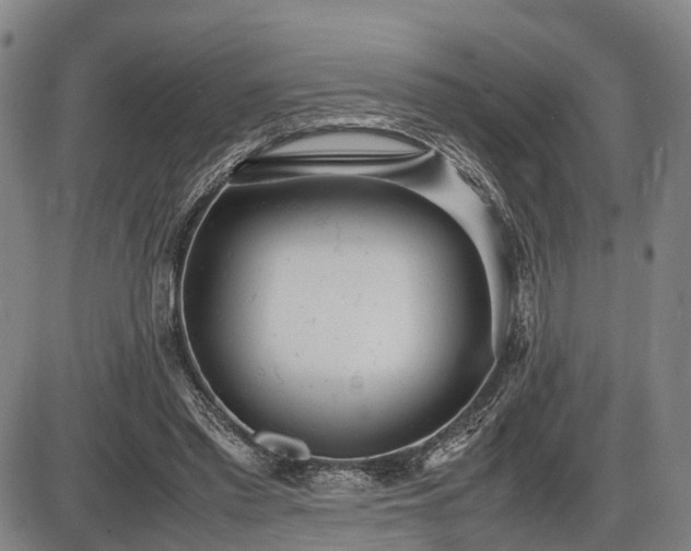 X0000086060397200703301046