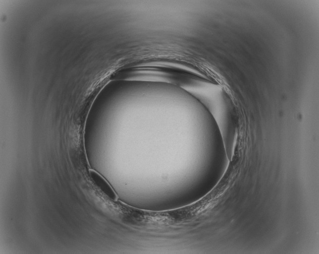 X0000086060401200703301046