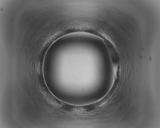 X0000086060403200703301046