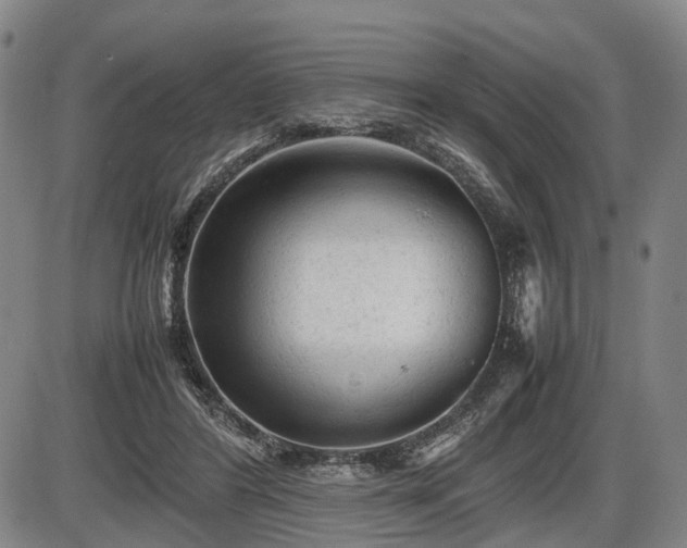 X0000086060404200703301046