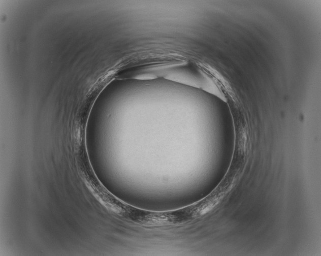 X0000086060405200703301046