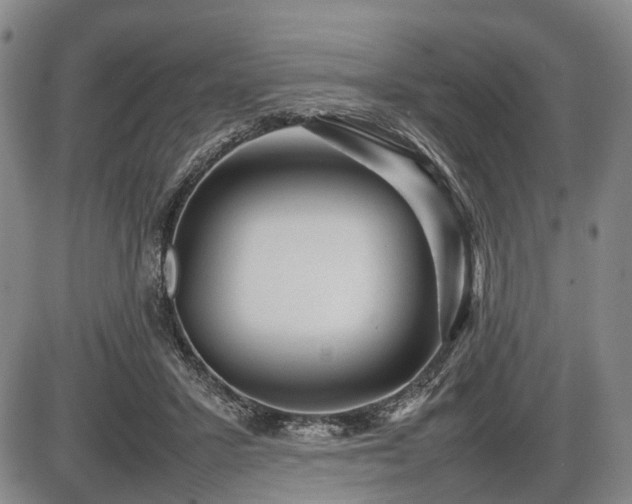 X0000086060407200703301046