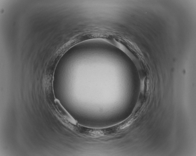 X0000086060409200703301046