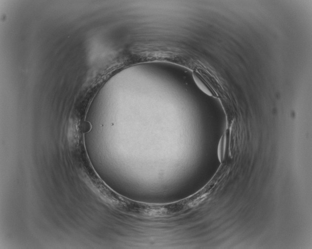 X0000086060410200703301046