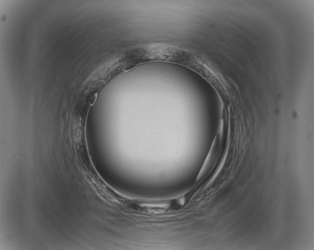 X0000086060413200703301046