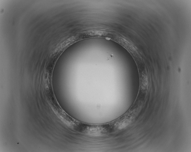 X0000086060414200703301046