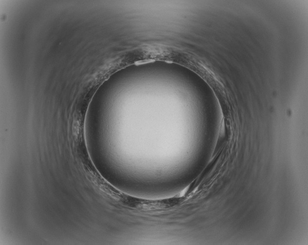 X0000086060417200703301046