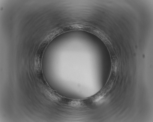 X0000086060418200703301046