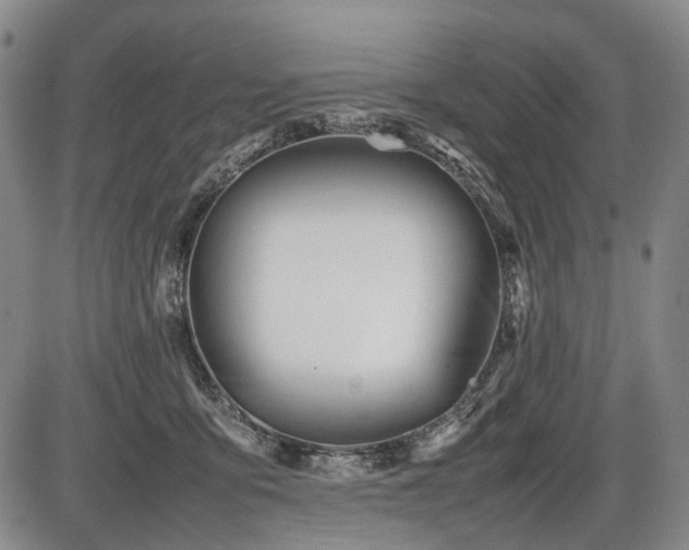 X0000086060419200703301046