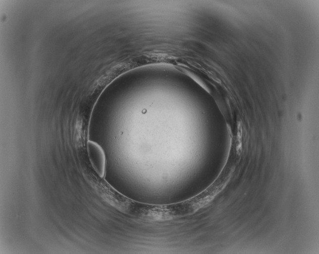 X0000086060420200703301046