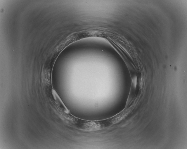 X0000086060421200703301046