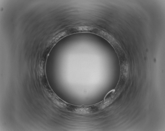 X0000086060422200703301046