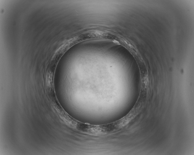 X0000086060423200703301046