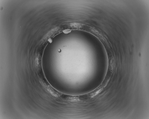 X0000086060424200703301046