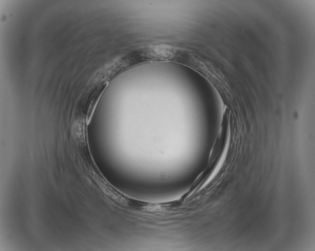 X0000086060425200703301046