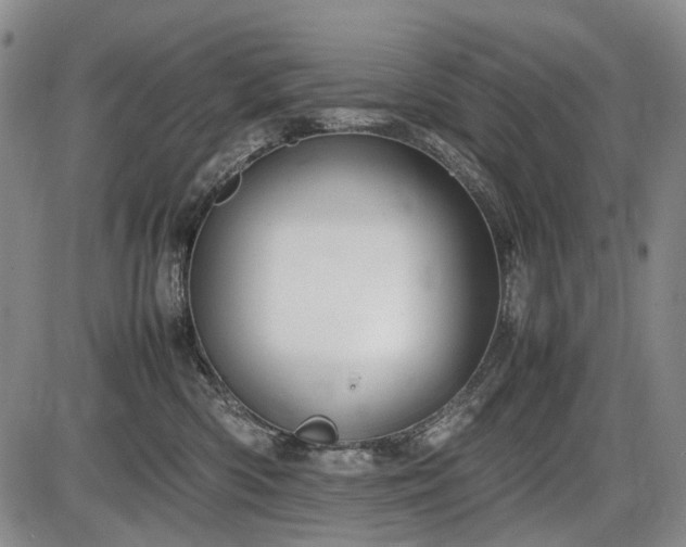 X0000086060426200703301046