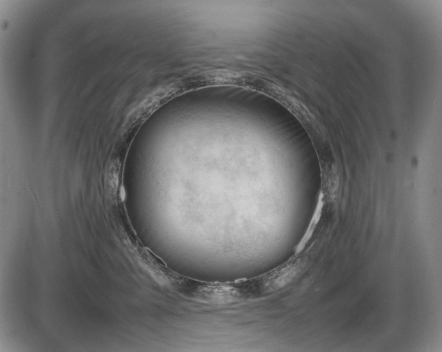 X0000086060427200703301045