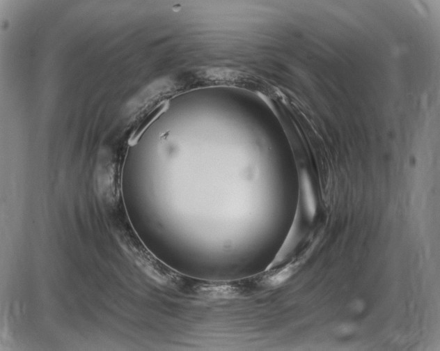 X0000086060428200703301045