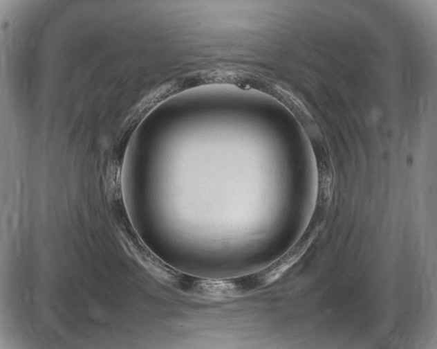 X0000086060429200703301045