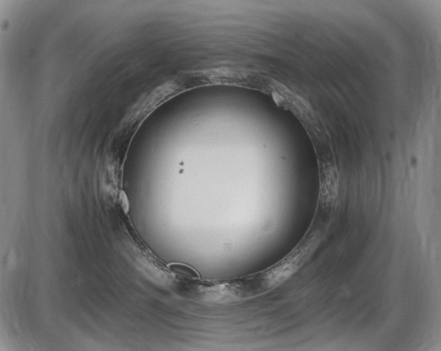 X0000086060430200703301045