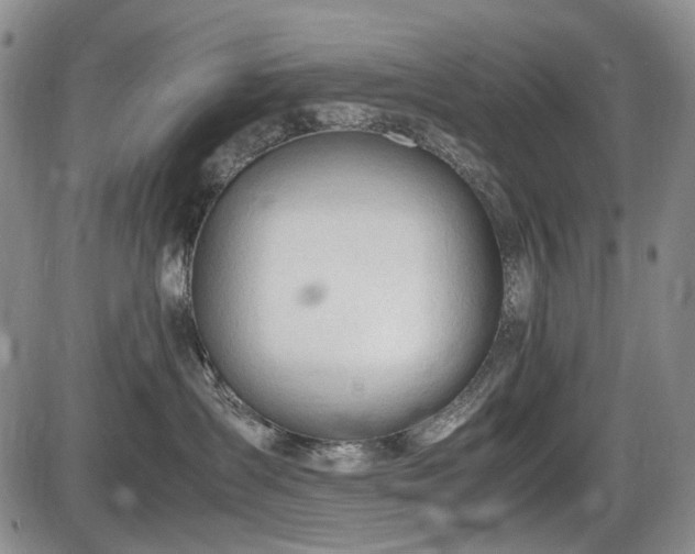 X0000086060431200703301045