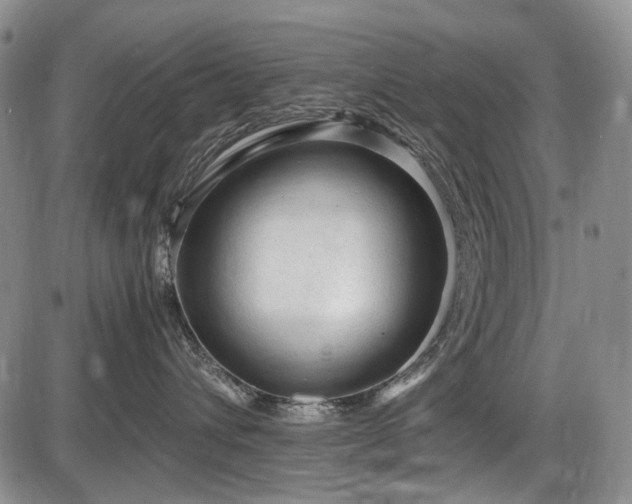 X0000086060432200703301045