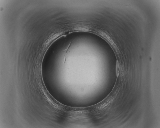 X0000086060433200703301045