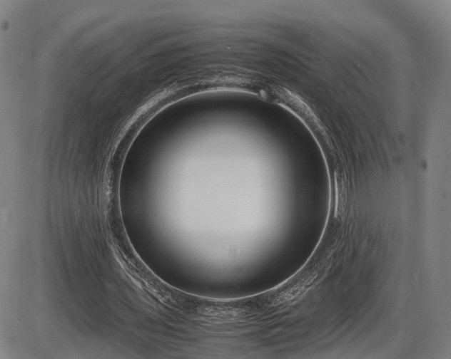 X0000086060435200703301045