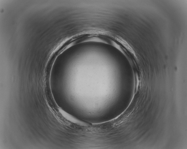 X0000086060436200703301045