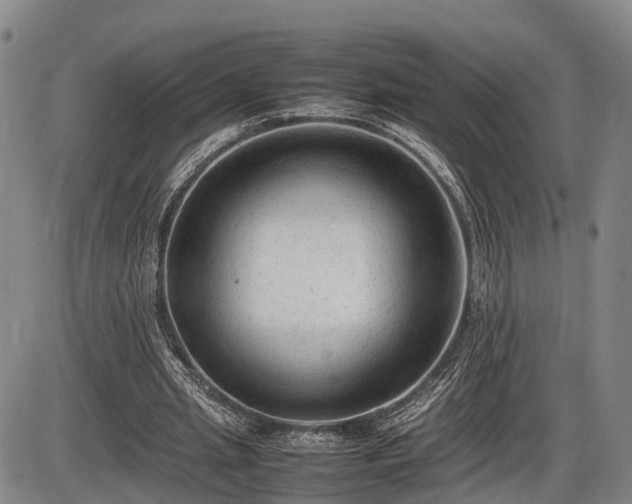 X0000086060437200703301045