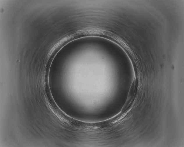 X0000086060438200703301045