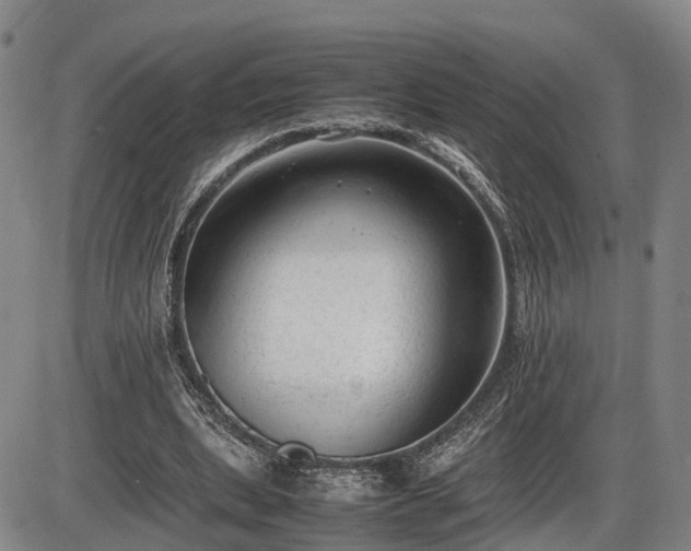 X0000086060439200703301045