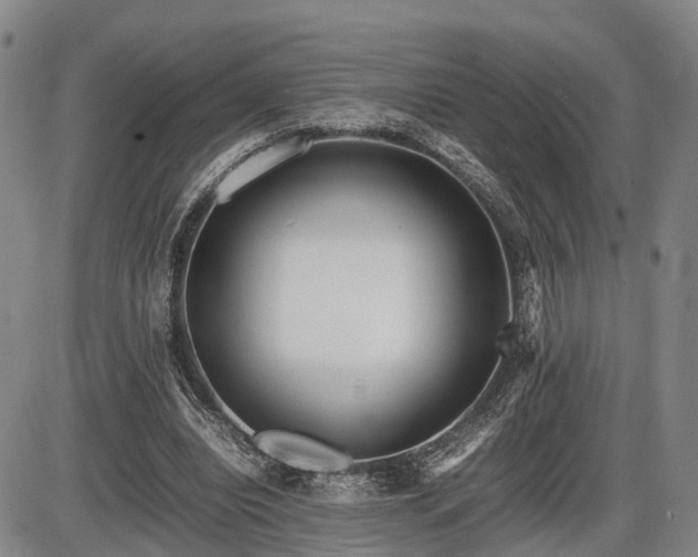 X0000086060440200703301045