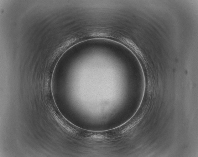 X0000086060441200703301045