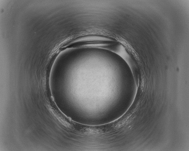 X0000086060442200703301045