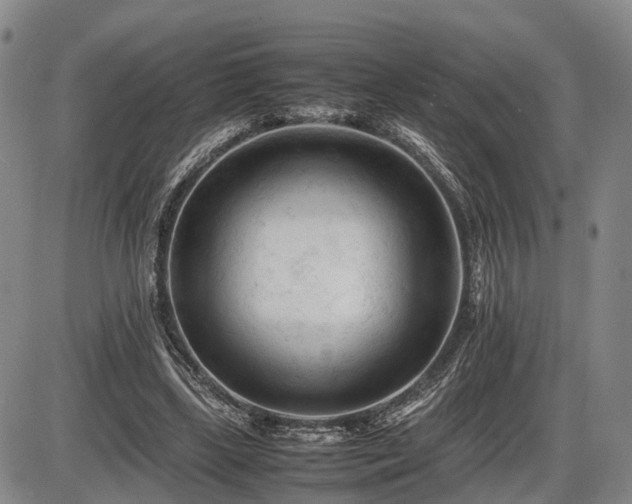 X0000086060443200703301045