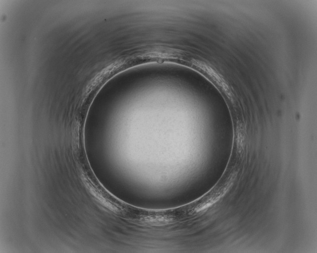 X0000086060445200703301045