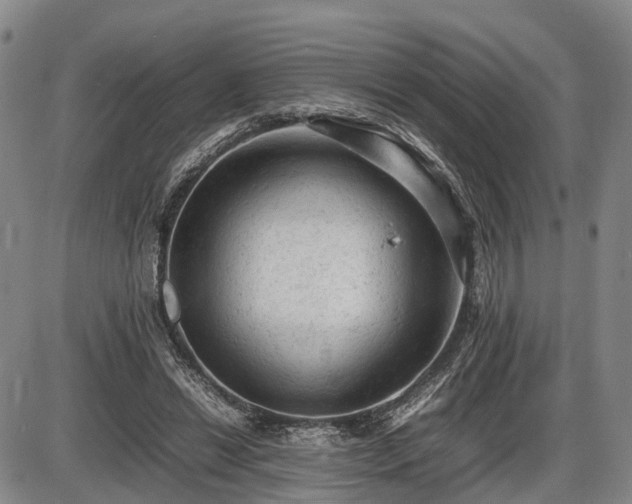 X0000086060446200703301045